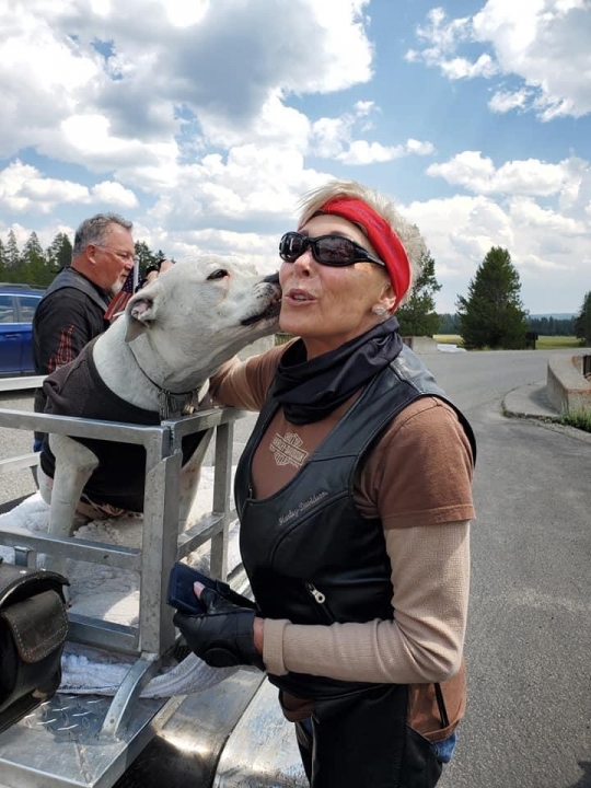 Shirlee Harris - Class of 1965 - Pocatello High School