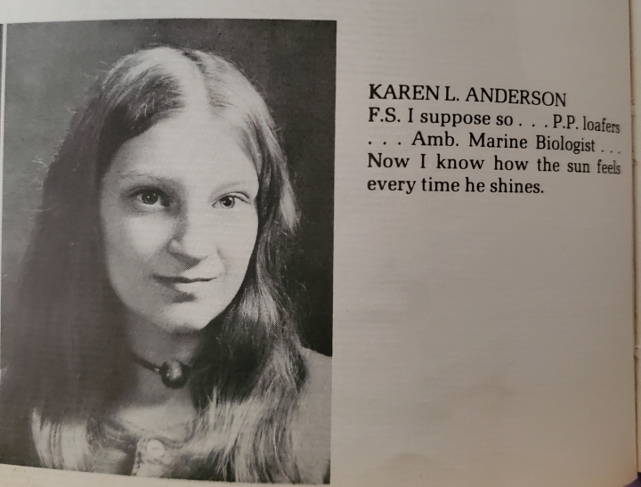 Karen L. Andersen - Class of 1973 - Dennis-yarmouth Regional High School