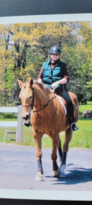 Susan Susan Mozden - Class of 1966 - West Springfield High School