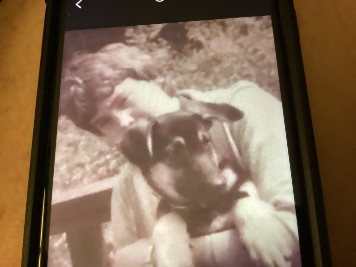 Kathleen Lyman - Class of 1978 - Sharon High School