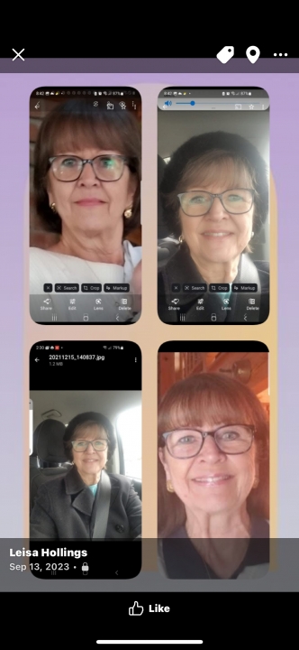 Leisa Ossinger - Class of 1975 - Holliston High School