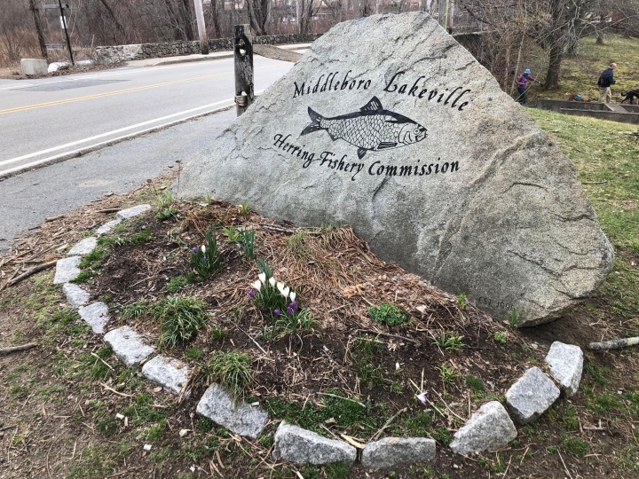 Richard D’Elia - Class of 1963 - Middleborough High School