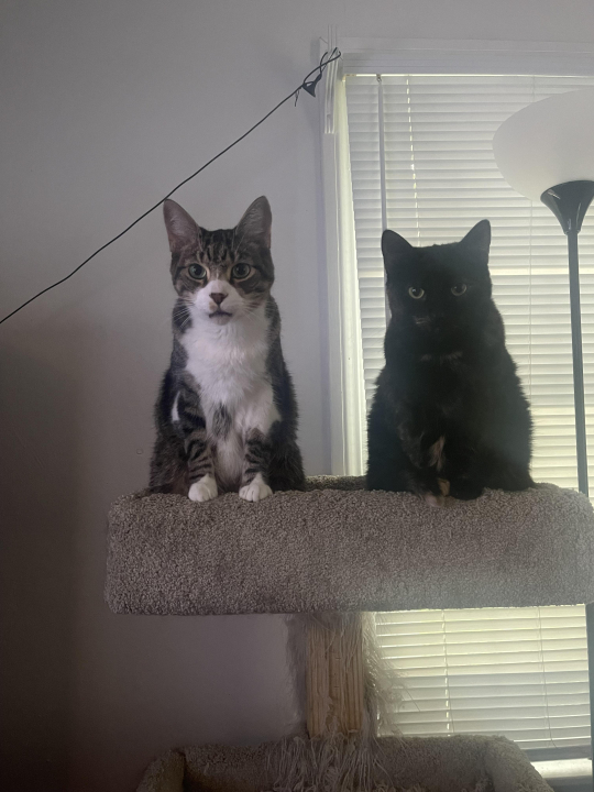 Mark Chisholm Mark Chisholm - Class of 1995 - South Oldham High School