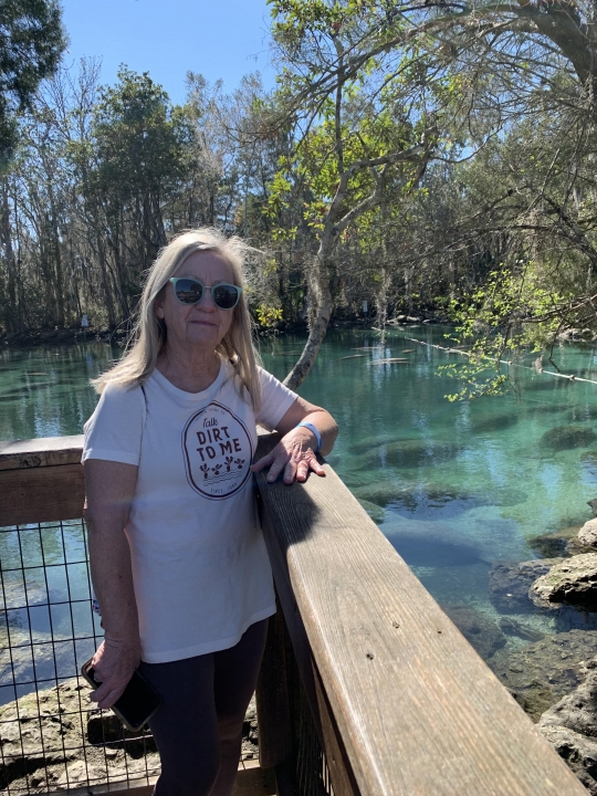 Barbara Dennis - Class of 1972 - Daviess County High School