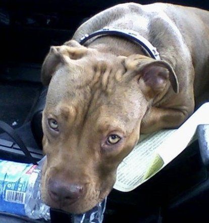 Maggie Coble - Class of 2006 - Sonoma Valley High School