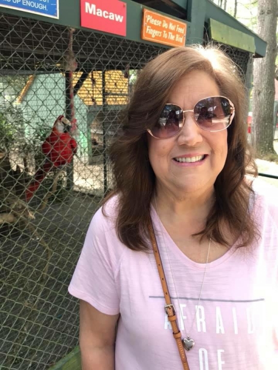 Peggy Taylor - Class of 1975 - Sullivan East High School