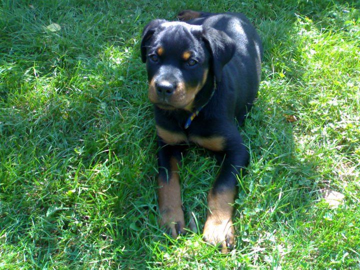 Vladimir Huja - Faculty - Fort Morgan High School