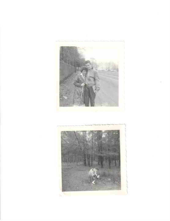 Carolyn Rovelli - Class of 1964 - New Milford High School
