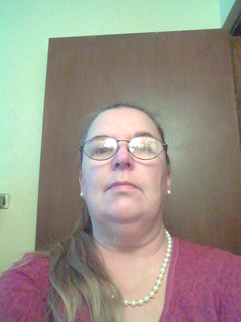 Phyllis Palmer - Class of 1975 - Dover High School
