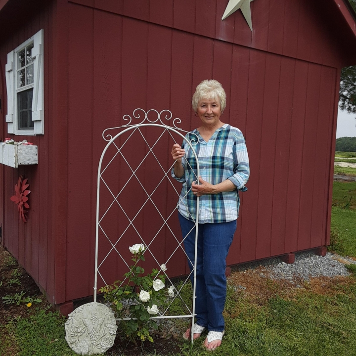 Sheryl Yates - Class of 1968 - Brandywine High School