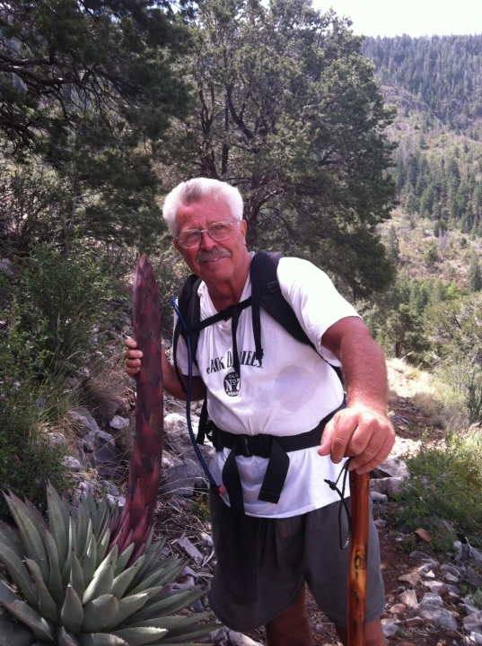 William Nelson - Class of 1965 - Rancho Alamitos High School