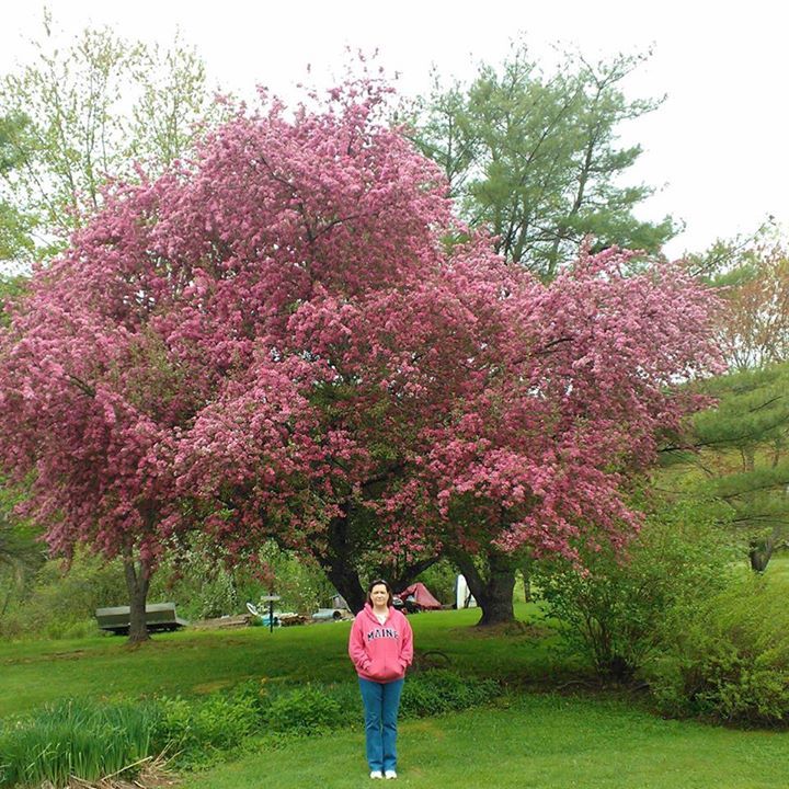 April Laverriere - Class of 2008 - Biddeford High School