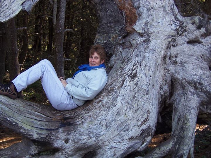Peggy Sexton Milburn - Class of 1975 - Mcnary High School