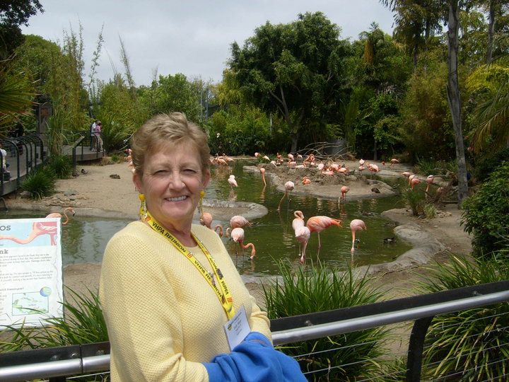 Judy Gergen - Class of 1965 - Lamar High School
