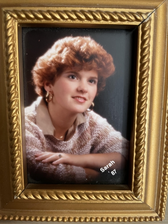 Sarah VanLAANEN - Class of 1987 - Iron Mountain High School