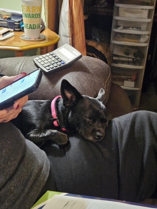 Lynessa Marie - Class of 1991 - Morley Stanwood High School