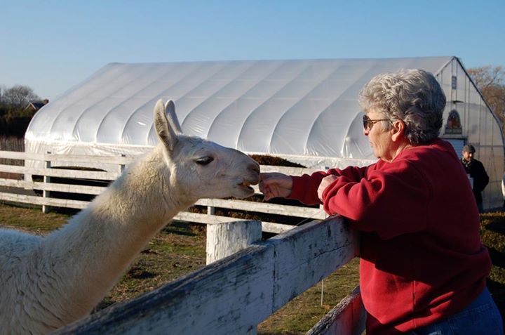 Susan Hibbs - Faculty - Berlin High School