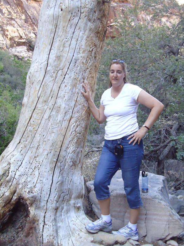Cynthia Turpel - Class of 1990 - Bonanza High School