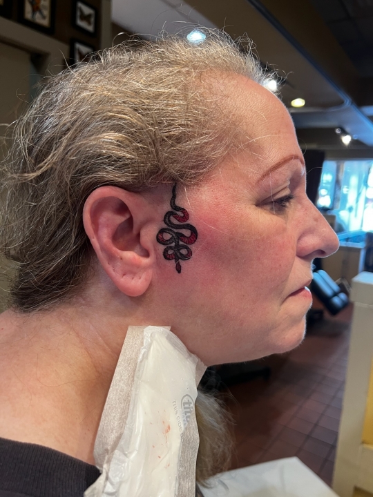 Sandy Lambertson - Class of 1972 - Malverne High School