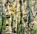 Sharon Brookhouse