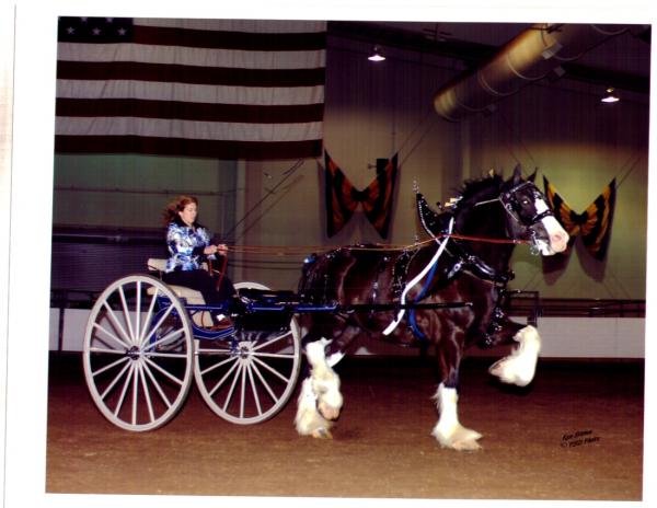 Tammy Styer - Class of 1985 - Bedford High School