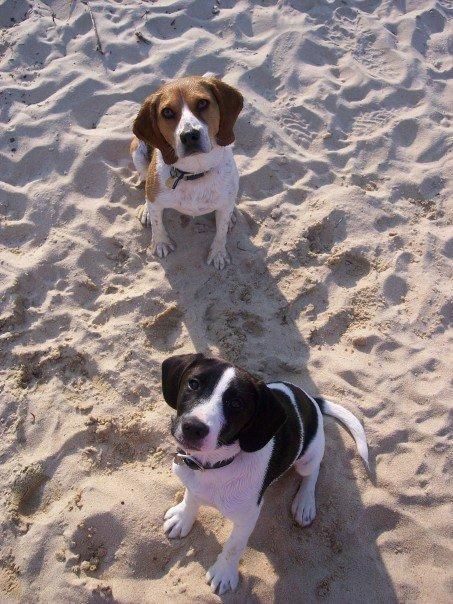 Amanda Boyd - Class of 1999 - East Carteret High School