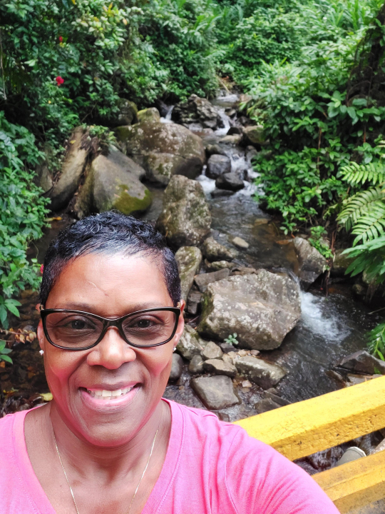 Cynthia Brooks - Class of 1980 - Harvey High School