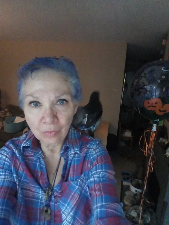 Paula Vanfossen - Class of 1974 - Wheelersburg High School