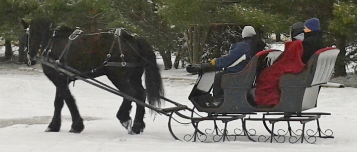 Mary Jordan - Class of 1981 - Shawnee High School