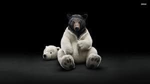 Mesiah Mccormick - Faculty - Suitland High School