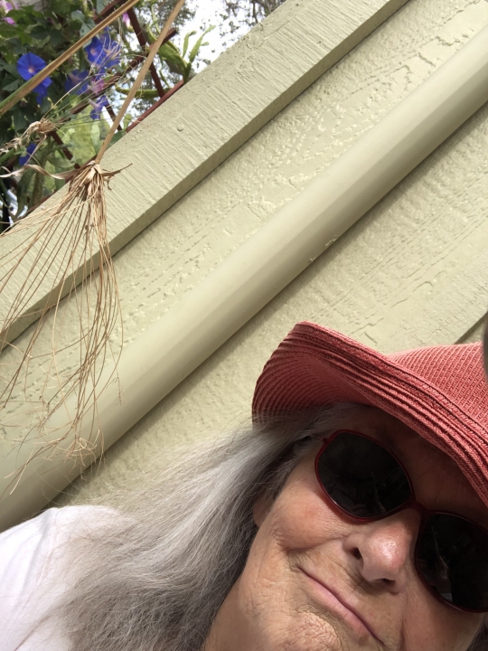 Pamela Lyons - Class of 1958 - Willits High School