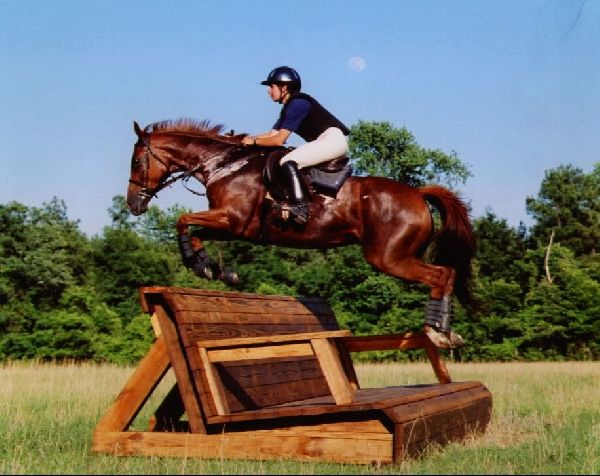 Brandy Snedden - Class of 1998 - Lakewood High School