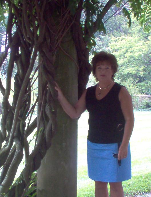 Becky Brown - Class of 1988 - Windham High School