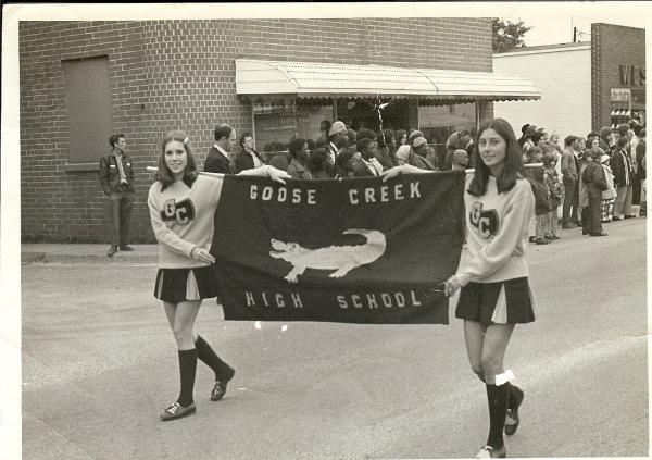 Teresa Lynne Snyder - Class of 1973 - Goose Creek High School