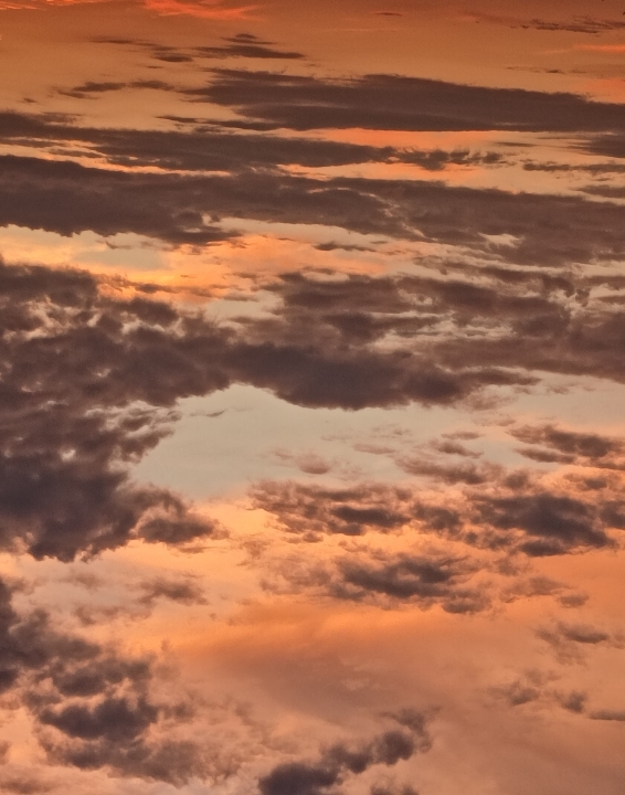 Michael Gartman, II - Class of 2008 - MacArthur High School