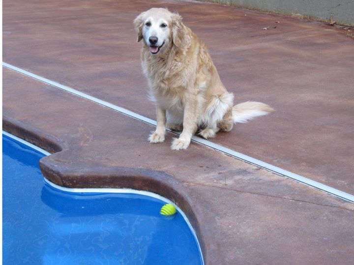 Leslie Moss - Class of 1999 - Hart High School