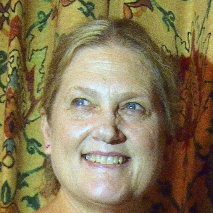Debra Debra Pehrson - Class of 1970 - Van Nuys High School