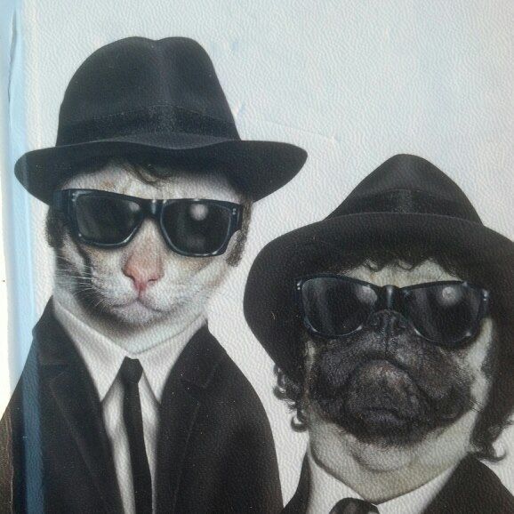 Allen Anderson - Class of 1981 - Chandler High School