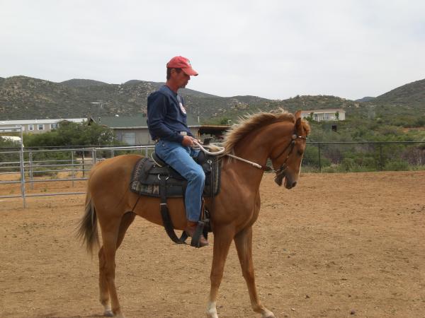 Robert Whan - Class of 1974 - South Mountain High School