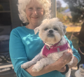 Diane Wolf