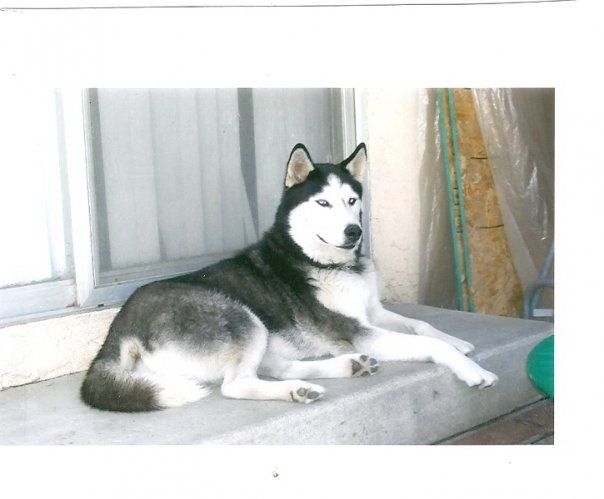 Dorothy Eddington-sweet - Class of 1974 - Lynwood High School