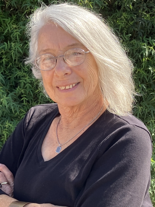 Diane Bruecker - Class of 1968 - North High School