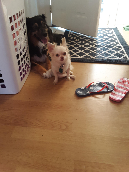 Teresa Frazier - Class of 1981 - Clovis High School