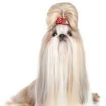 John Minshew - Class of 1993 - Alief Elsik High School