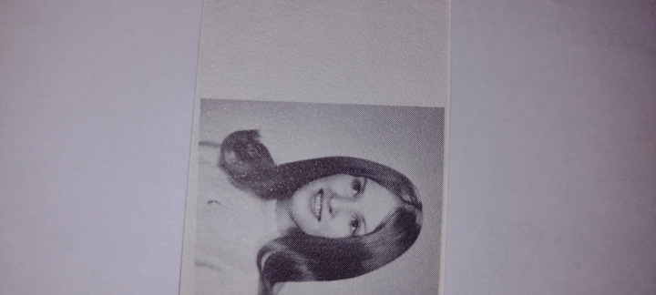 Deborah Britton - Class of 1971 - Hazel Park High School