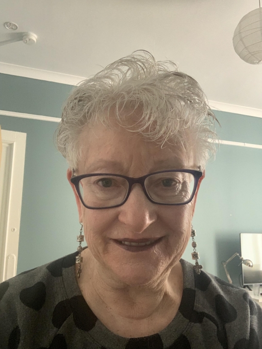 Susan Susan Riddell - Class of 1963 - Camelback High School