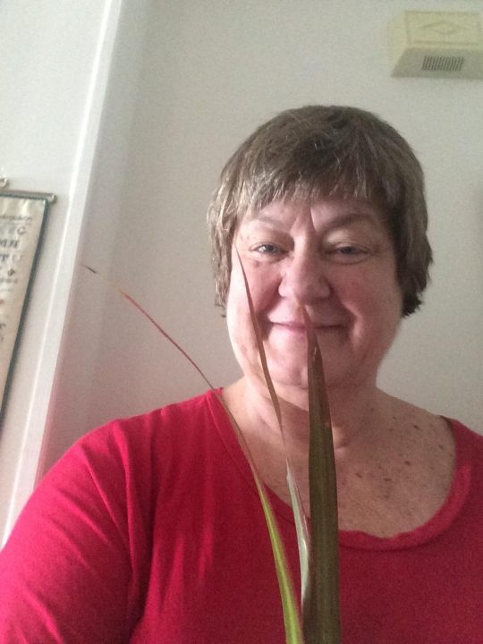 Judy Jackson - Class of 1964 - Thornton Township High School