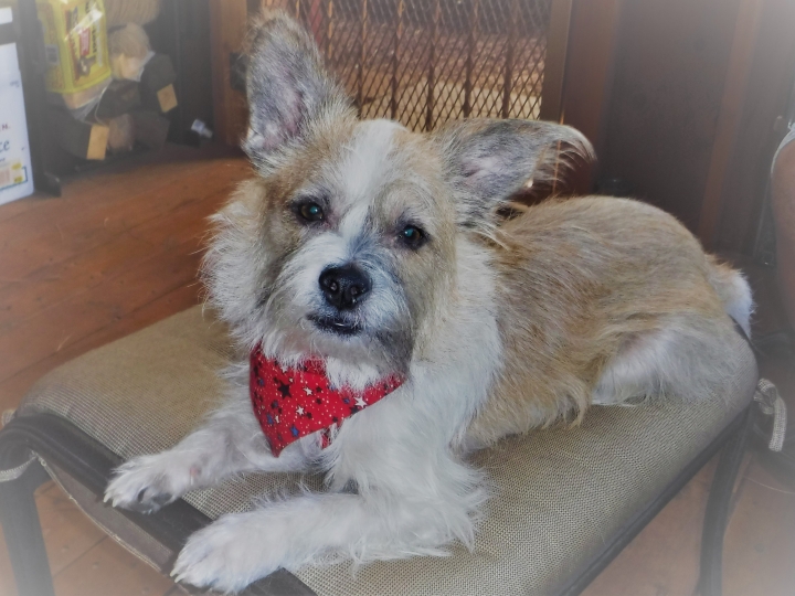 Jeanne Hunter - Class of 1966 - W.t. Woodson High School