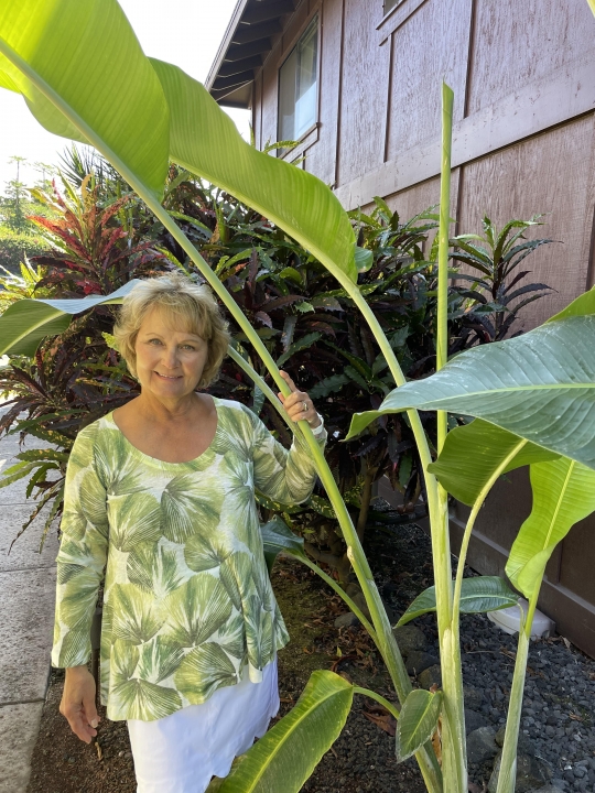 Debra Blackmore - Class of 1973 - Dimond High School