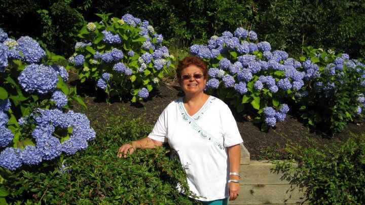 Elsa Horn - Class of 1969 - Castle Park High School
